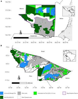 Community Managed Protected Areas Conserve Aboveground Carbon Stocks: Implications for REDD+
